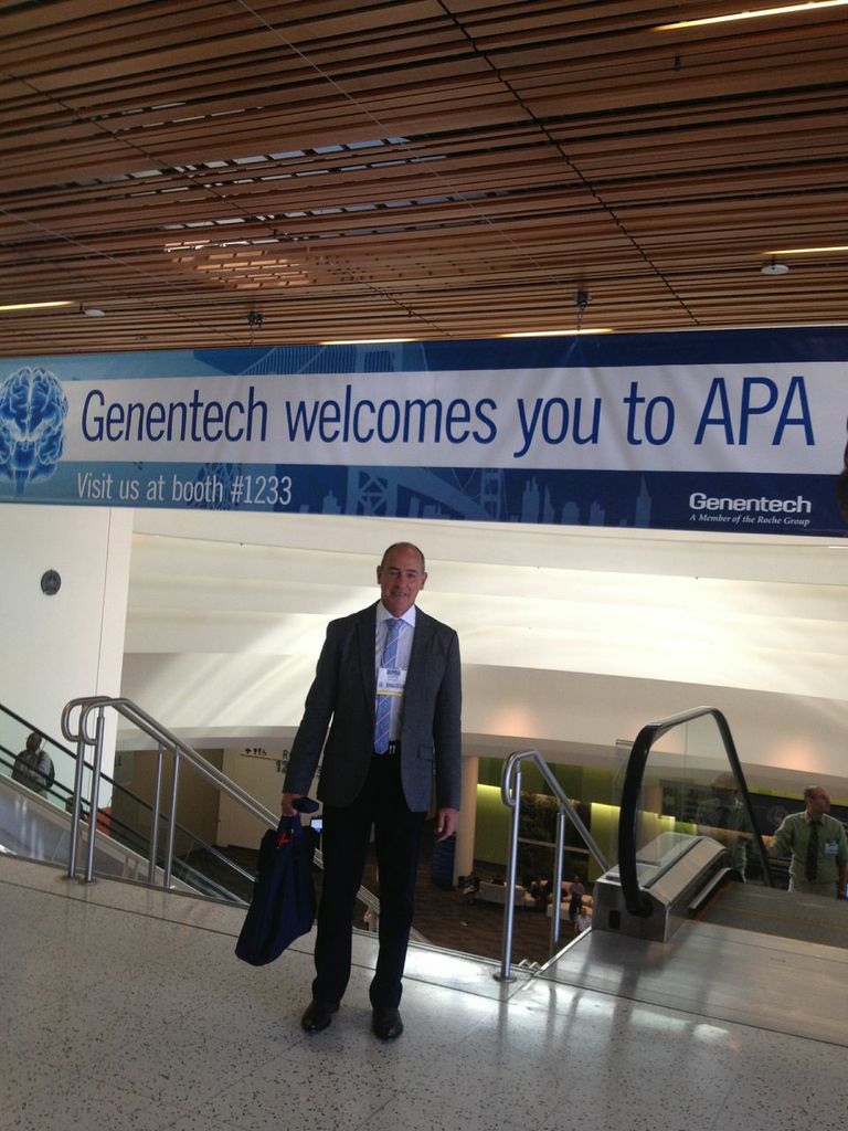 APA 2013